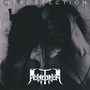 Introspection