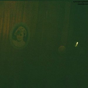 некрофилия