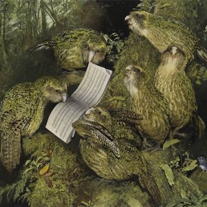 Avatar for Birds of New Zealand