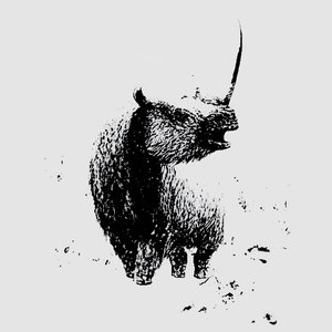 Avatar for woolly rhinoceros