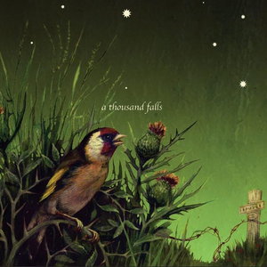Midnight by A Thousand Falls