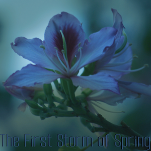 The First Storm of Spring by Various Artists