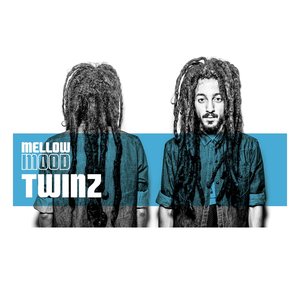 Capa de Twinz