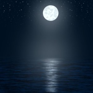 Avatar for Moonlight Sound Design
