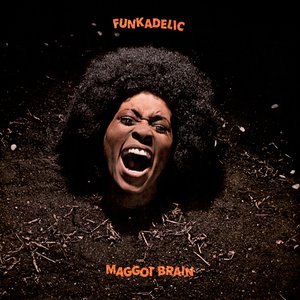 Maggot Brain