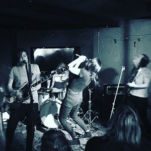 Avatar for She's the Band