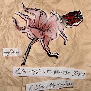 Lilies Weren't Meant for Dying / I Shed My Wings