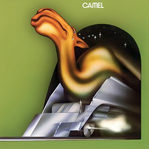 Camel