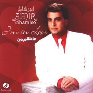 Avatar for Amir Shamlou