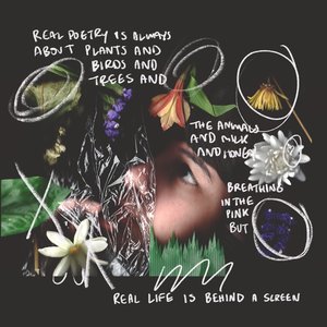 Real poetry is always about plants and birds and trees and the animals and milk and honey breathing in the pink but real life is behind a screen