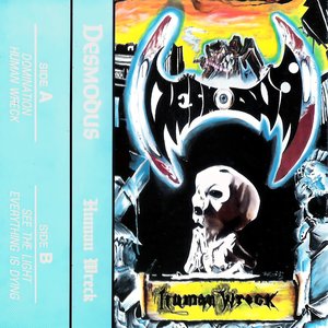 Human Wreck