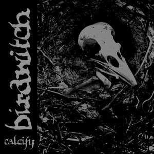 Calcify