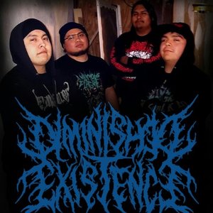 Avatar for Diminished Existence