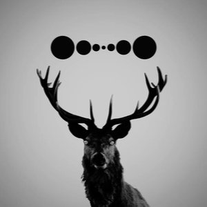 Avatar for SEMICOLOŊ