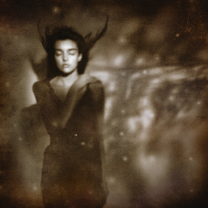 This Mortal Coil