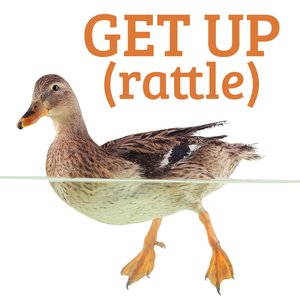Get Up (Rattle) - Single