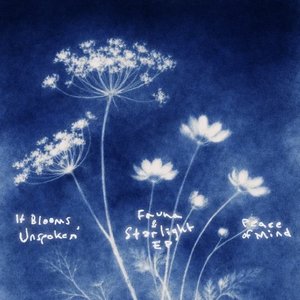 Fauna & Starlight