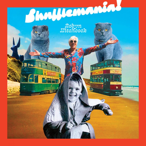 Artwork for The Shuffle Man
