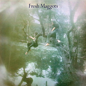Fresh Maggots by Fresh Maggots