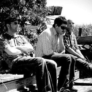 The Lazy Waves için avatar
