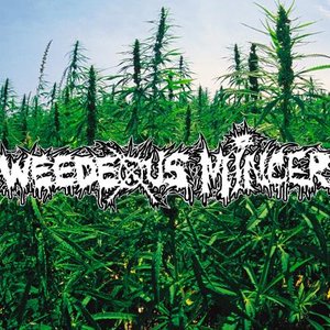 Avatar for Weedeous Mincer