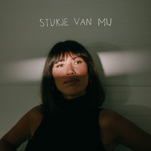 Artwork for Stukje Van Mij