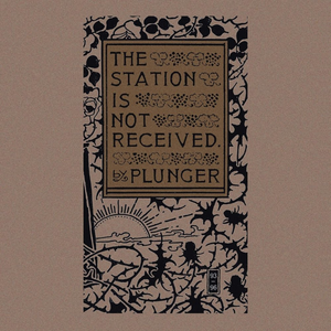 The Station Is Not Received by Plunger