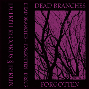 Forgotten by Dead branches