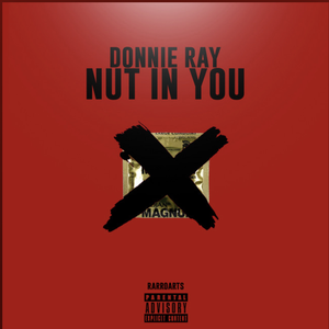 Artwork for Nut in You