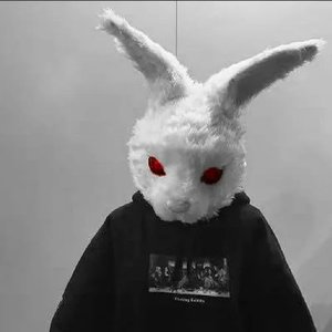 Avatar di 暴躁的兔子