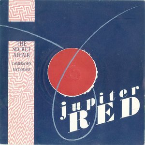 The Secret Affair