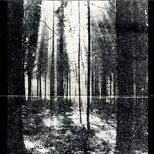 Saulei Tekant