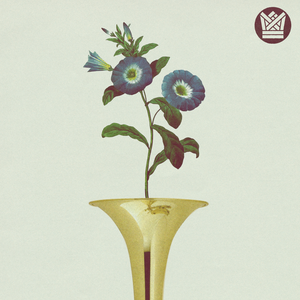 Morning Glory album cover