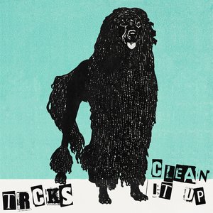 Clean It Up