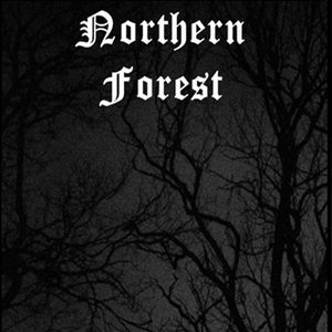 Trees Night