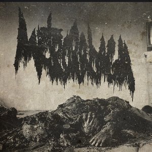 Carbonized Isolation