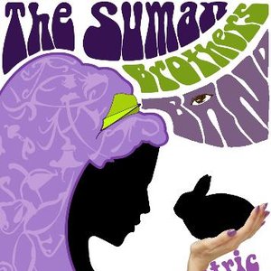 Avatar de The Suman Brothers Band