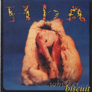 whisker biscuit