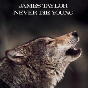 Artwork for Never Die Young