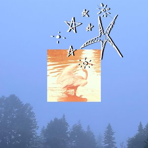 Star Bird