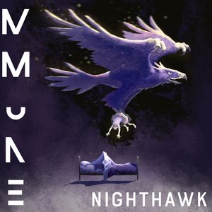 Nighthawk