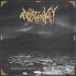 Secrets Beneath the Frost