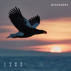 Discovery