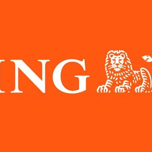 Avatar for Ing Bank
