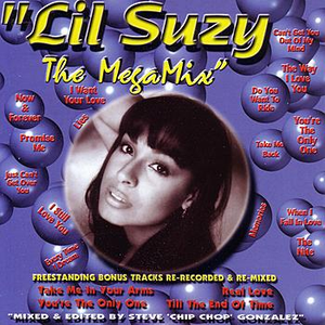 The Mega Mix by Lil Suzy