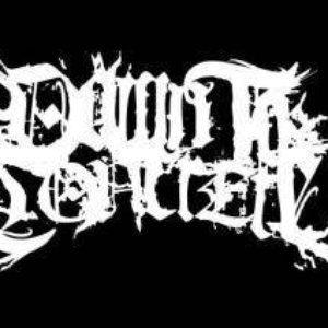 Avatar for Down to Concrete