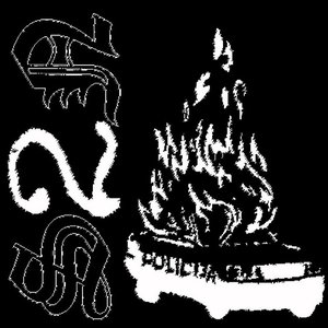 S2N