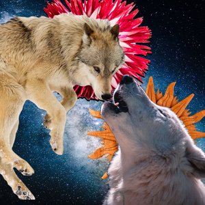 Instinct