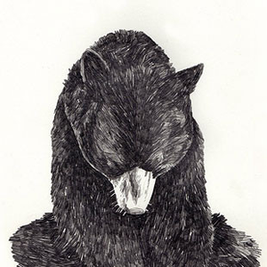 Untitled Album by Francesca Jordan Stecconi