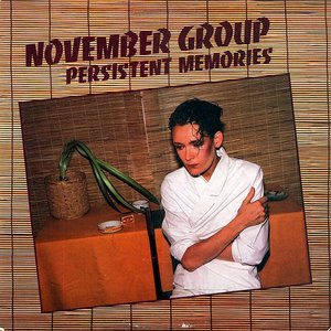 Persistent Memories